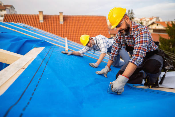 Best Roof Restoration Services  in Dundee, NY